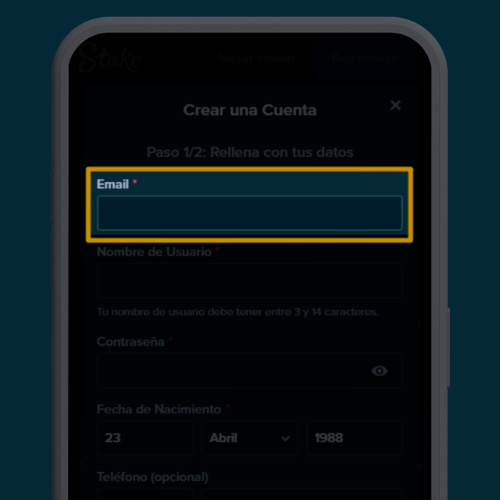 Ingrese su dirección de correo electrónico en la aplicación Stake