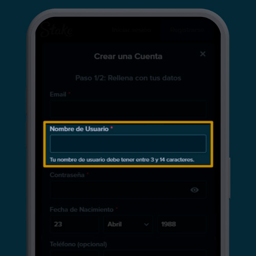 Elija un nombre único en la aplicación Stake